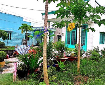 Bán đất xã phước vĩnh an 5,5m dài 50m