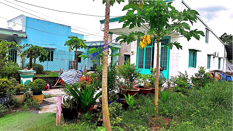 Bán đất xã phước vĩnh an 5,5m dài 50m